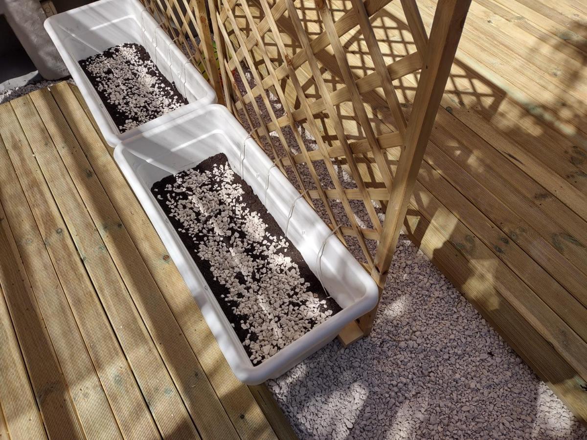 Appartamento Corallo With Private Garden Olbia Eksteriør bilde